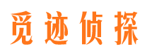 顺河外遇调查取证